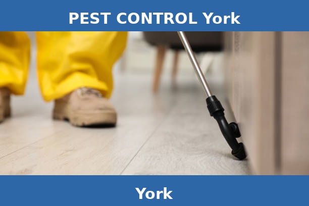 PEST CONTROL York